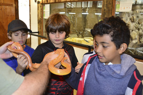 Buy your photos of the eventNR1 - Kids 17 a 23/07/17 on Fotop