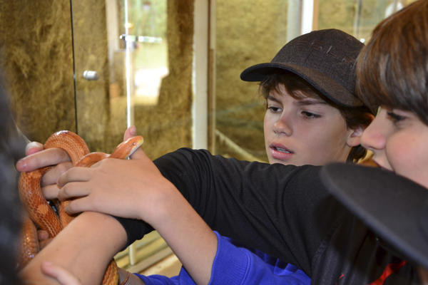 Buy your photos of the eventNR1 - Kids 17 a 23/07/17 on Fotop