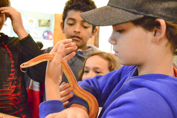 Buy your photos of the eventNR1 - Kids 17 a 23/07/17 on Fotop