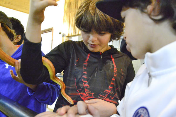 Buy your photos of the eventNR1 - Kids 17 a 23/07/17 on Fotop