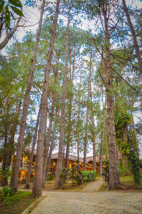 Buy your photos of the eventNR1 - Kids 17 a 23/07/17 on Fotop