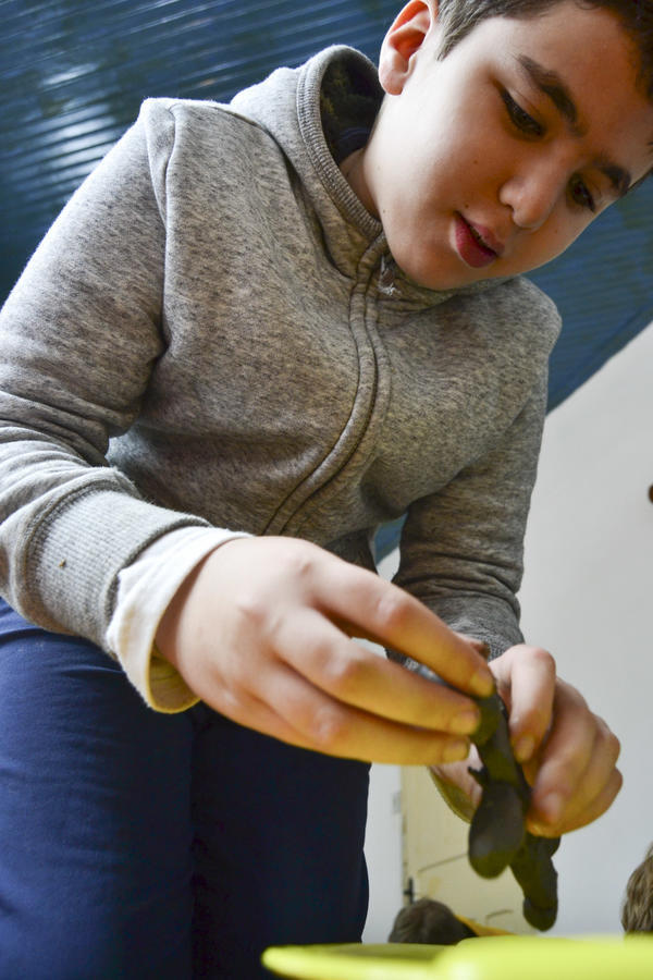 Buy your photos of the eventNR1 - Kids 17 a 23/07/17 on Fotop