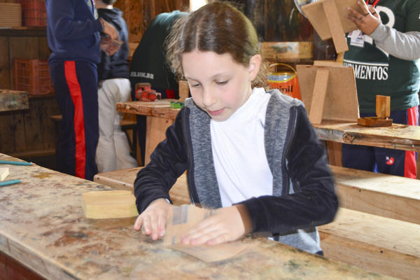 Buy your photos of the eventNR1 - Kids 17 a 23/07/17 on Fotop