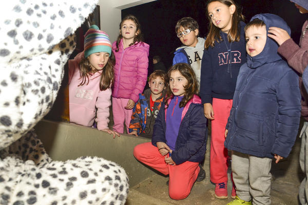 Buy your photos of the eventNR1 - Kids 17 a 23/07/17 on Fotop