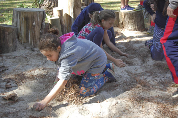 Buy your photos of the eventNR1 - Kids 17 a 23/07/17 on Fotop