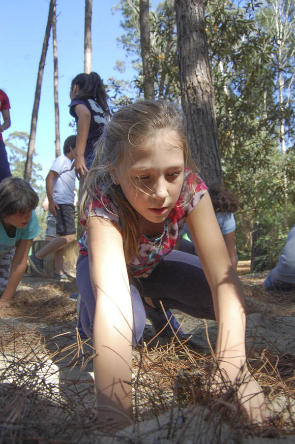 Buy your photos of the eventNR1 - Kids 17 a 23/07/17 on Fotop