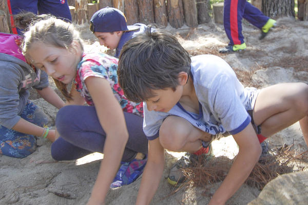 Buy your photos of the eventNR1 - Kids 17 a 23/07/17 on Fotop