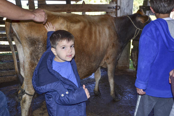 Buy your photos of the eventNR1 - Kids 17 a 23/07/17 on Fotop