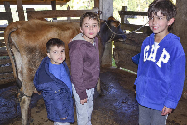 Buy your photos of the eventNR1 - Kids 17 a 23/07/17 on Fotop