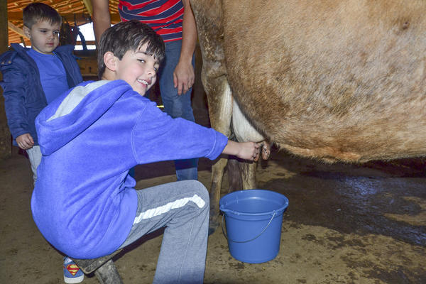 Buy your photos of the eventNR1 - Kids 17 a 23/07/17 on Fotop