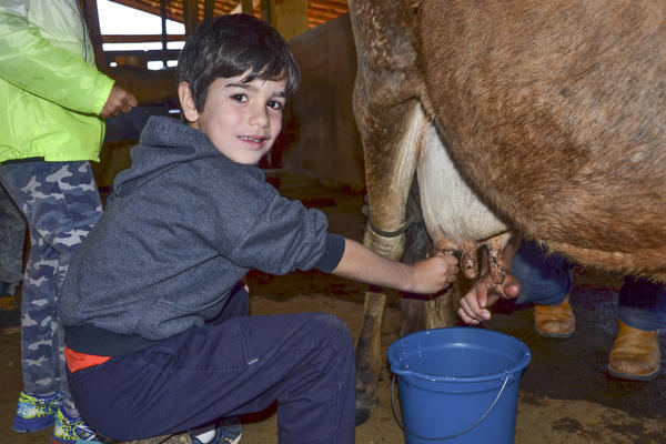 Buy your photos of the eventNR1 - Kids 17 a 23/07/17 on Fotop