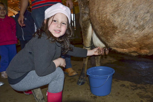 Buy your photos of the eventNR1 - Kids 17 a 23/07/17 on Fotop