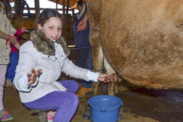 Buy your photos of the eventNR1 - Kids 17 a 23/07/17 on Fotop