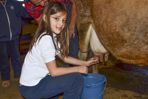 Buy your photos of the eventNR1 - Kids 17 a 23/07/17 on Fotop