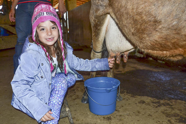 Buy your photos of the eventNR1 - Kids 17 a 23/07/17 on Fotop