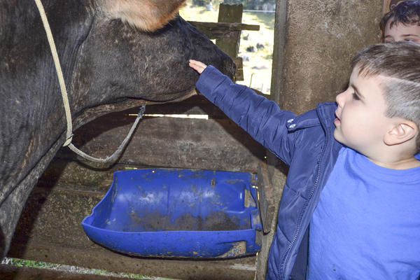 Buy your photos of the eventNR1 - Kids 17 a 23/07/17 on Fotop