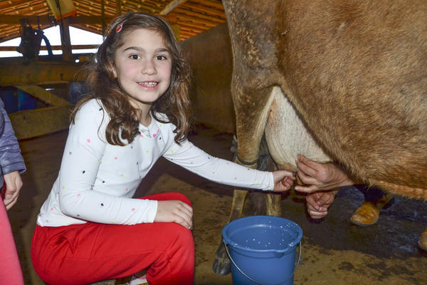 Buy your photos of the eventNR1 - Kids 17 a 23/07/17 on Fotop