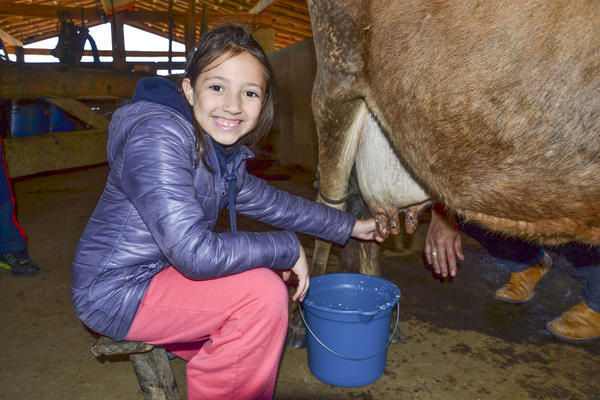 Buy your photos of the eventNR1 - Kids 17 a 23/07/17 on Fotop