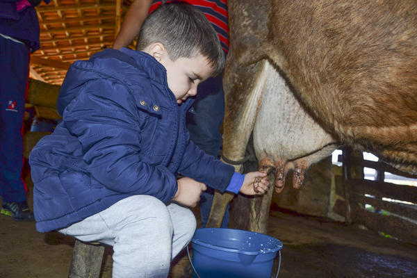 Buy your photos of the eventNR1 - Kids 17 a 23/07/17 on Fotop