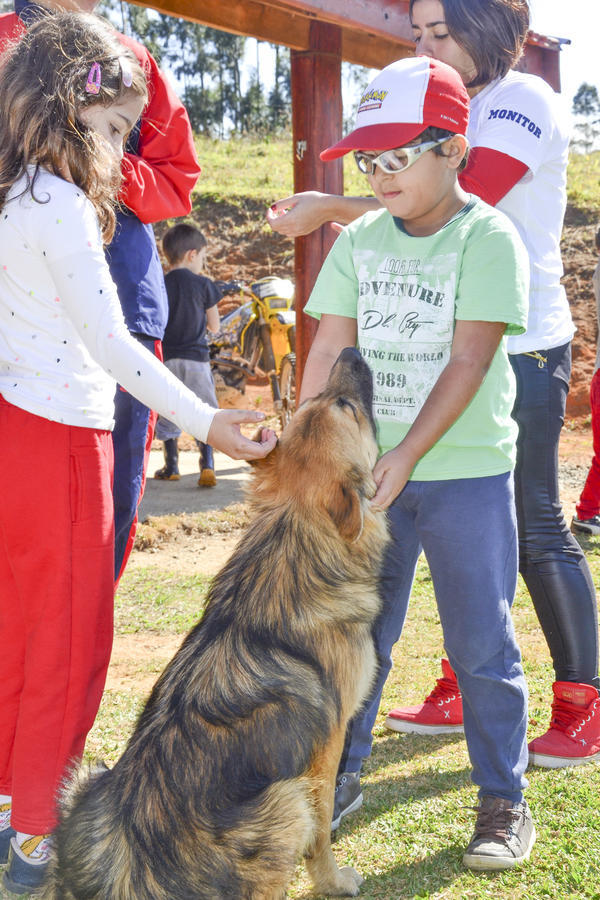 Buy your photos of the eventNR1 - Kids 17 a 23/07/17 on Fotop