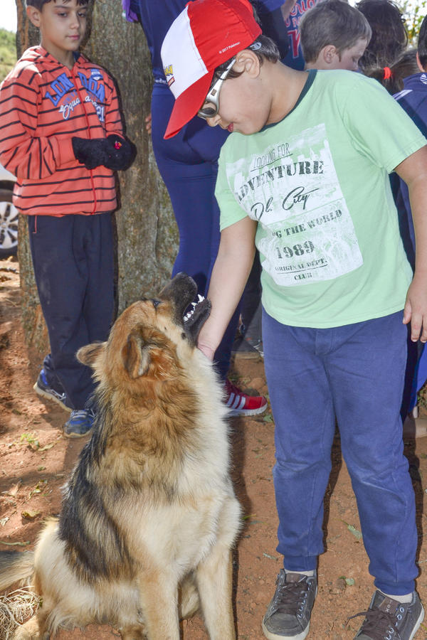 Buy your photos of the eventNR1 - Kids 17 a 23/07/17 on Fotop