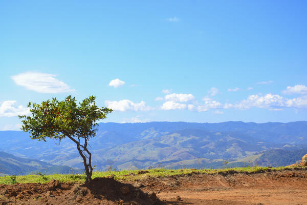 Buy your photos of the eventNR1 - Kids 17 a 23/07/17 on Fotop