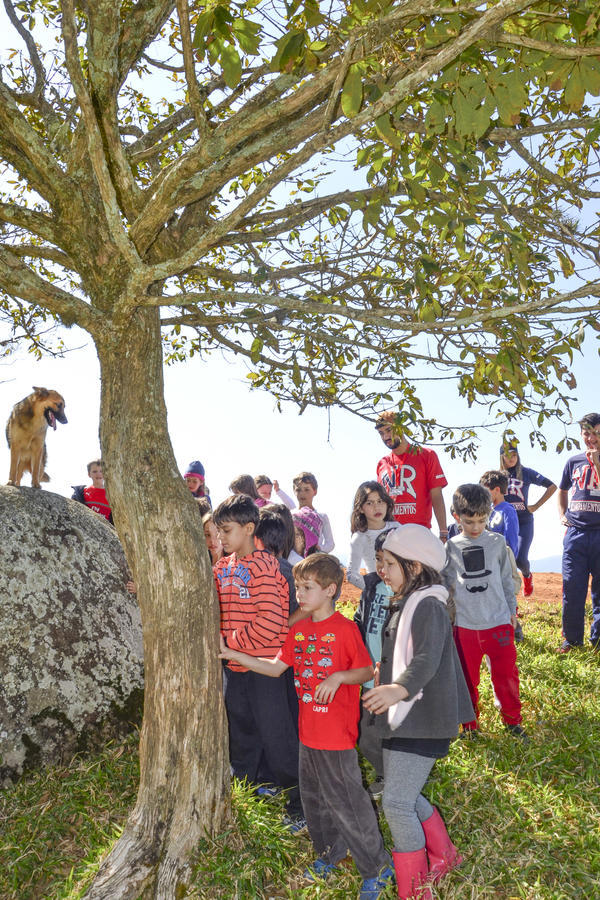 Buy your photos of the eventNR1 - Kids 17 a 23/07/17 on Fotop