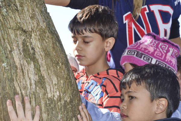 Buy your photos of the eventNR1 - Kids 17 a 23/07/17 on Fotop