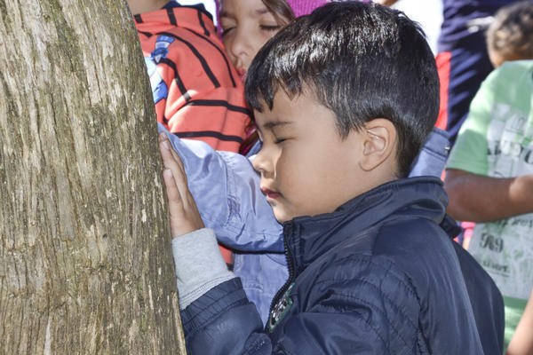 Buy your photos of the eventNR1 - Kids 17 a 23/07/17 on Fotop