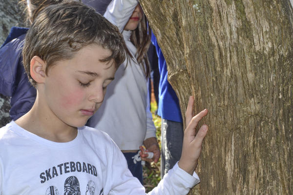 Buy your photos of the eventNR1 - Kids 17 a 23/07/17 on Fotop