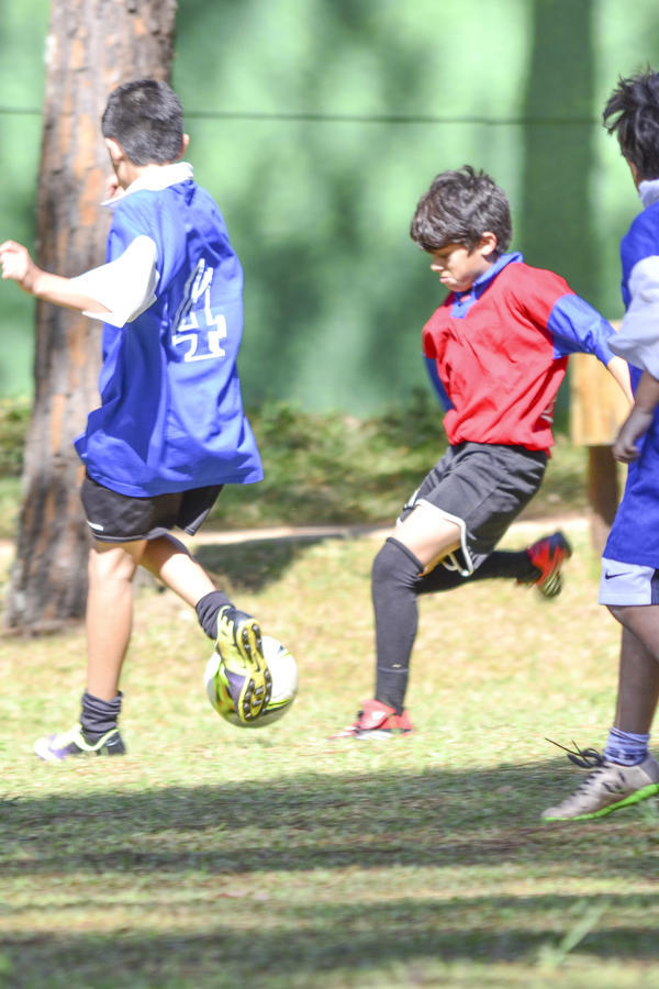 Buy your photos of the eventNR1 - Kids 17 a 23/07/17 on Fotop