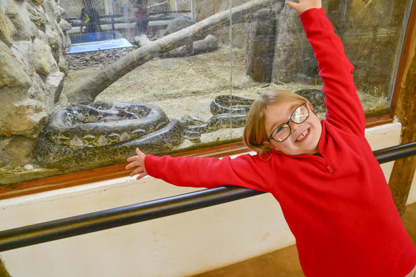 Buy your photos of the eventNR1 - Kids 17 a 23/07/17 on Fotop