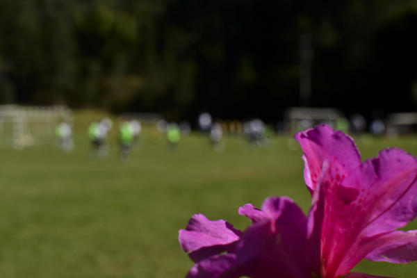 Buy your photos of the eventNR2 - Juventus 24 a 30/07/17 on Fotop