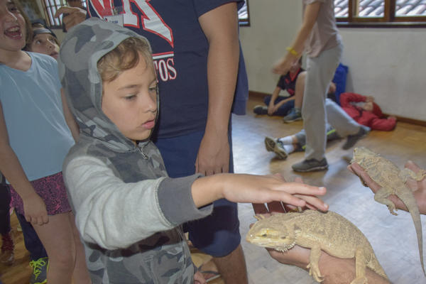 Buy your photos of the eventNR2 - Broadway MasterClass 24 a 30/07/17 on Fotop