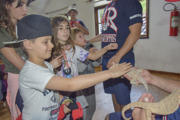 Buy your photos of the eventNR2 - Broadway MasterClass 24 a 30/07/17 on Fotop