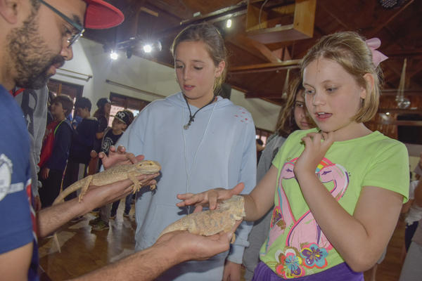 Buy your photos of the eventNR2 - Broadway MasterClass 24 a 30/07/17 on Fotop