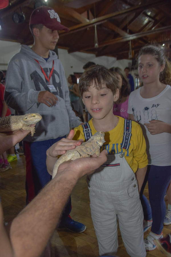 Buy your photos of the eventNR2 - Broadway MasterClass 24 a 30/07/17 on Fotop