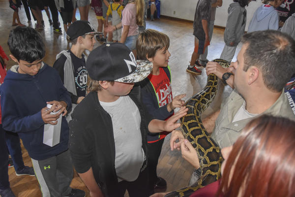 Buy your photos of the eventNR2 - Broadway MasterClass 24 a 30/07/17 on Fotop