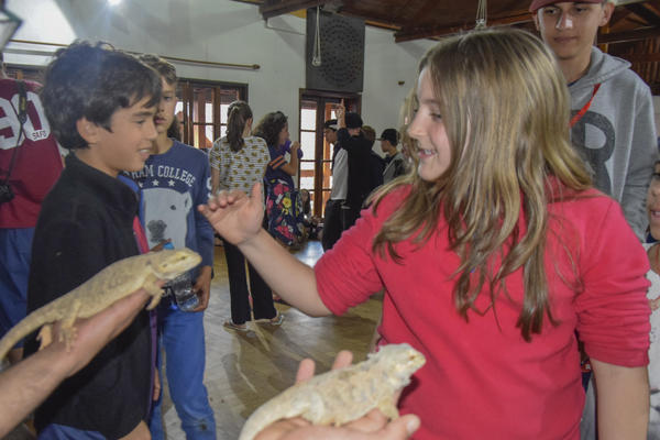 Buy your photos of the eventNR2 - Kids e Teens 24 a 30/07/17 on Fotop