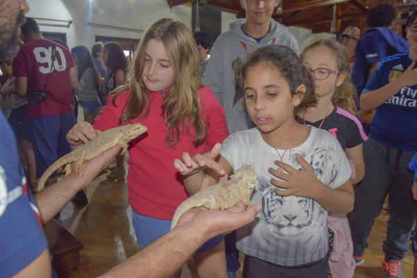 Buy your photos of the eventNR2 - Kids e Teens 24 a 30/07/17 on Fotop