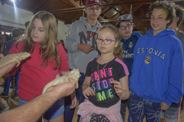 Buy your photos of the eventNR2 - Kids e Teens 24 a 30/07/17 on Fotop