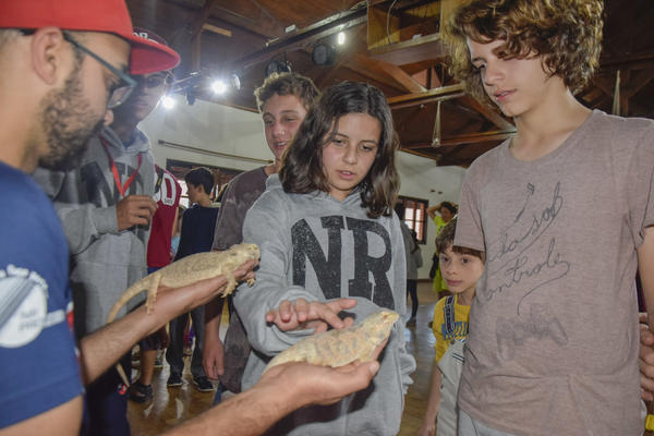 Buy your photos of the eventNR2 - Kids e Teens 24 a 30/07/17 on Fotop