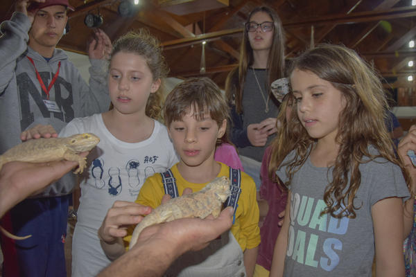 Buy your photos of the eventNR2 - Kids e Teens 24 a 30/07/17 on Fotop