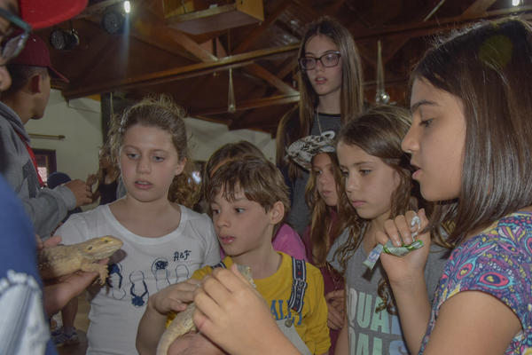 Buy your photos of the eventNR2 - Kids e Teens 24 a 30/07/17 on Fotop