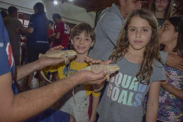 Buy your photos of the eventNR2 - Kids e Teens 24 a 30/07/17 on Fotop