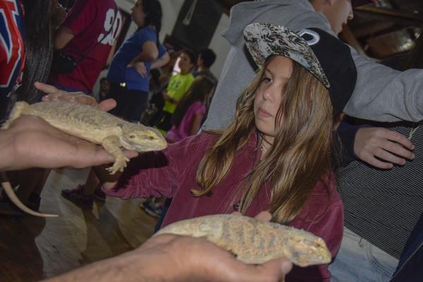 Buy your photos of the eventNR2 - Kids e Teens 24 a 30/07/17 on Fotop