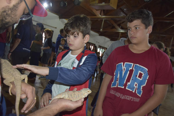 Buy your photos of the eventNR2 - Kids e Teens 24 a 30/07/17 on Fotop