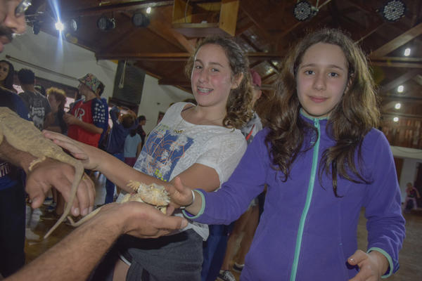 Buy your photos of the eventNR2 - Kids e Teens 24 a 30/07/17 on Fotop