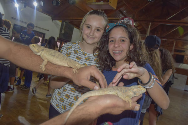 Buy your photos of the eventNR2 - Kids e Teens 24 a 30/07/17 on Fotop