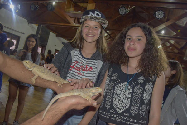 Buy your photos of the eventNR2 - Kids e Teens 24 a 30/07/17 on Fotop